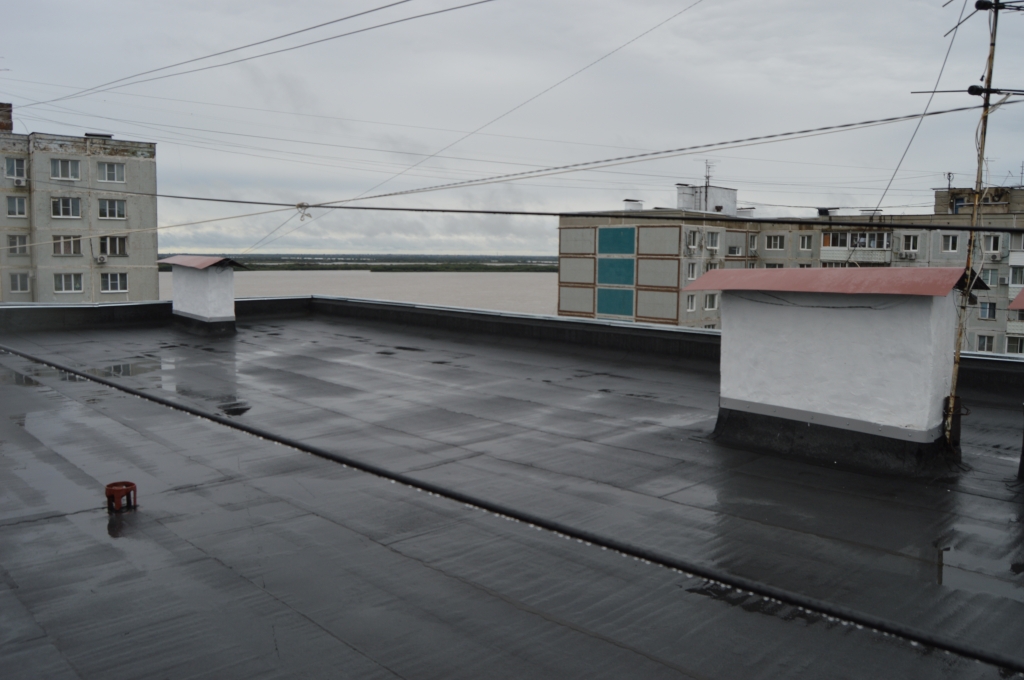 DSC_2685.JPG DSC_2685.JPG